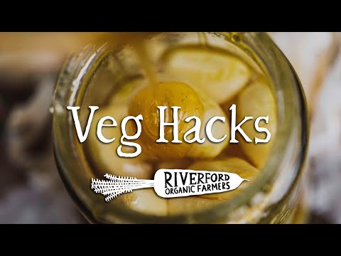 Fermented Garlic Honey I VEG HACKS
