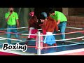 Orangutan Boxing So Funny In 2025 Best Funny Video Monkeys Boxing At The Zoo