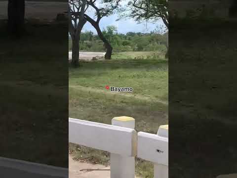 Un poquito de mi ciudad🥰 Granma, Bayamo