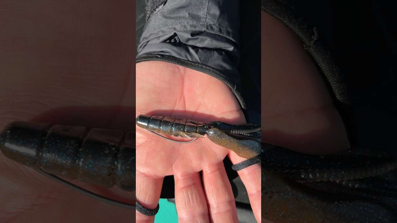 オリキン直伝！ドライブビーバー4in完璧なフックセッティング方法！