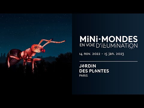 Teaser Mini-mondes en voie d'illumination - Jardin des Plantes (c) Muséum national d'Histoire naturelle