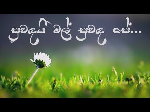 Suwandai Mal Suwanda Se || (සුවඳයි මල් සුවඳ සේ) || Kasun Kalhara and Sashika Nisansala