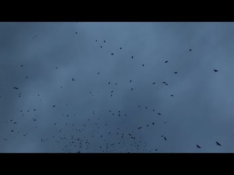 Daniel Spaleniak - Burning Sea (feat.Tomasz Mreńca)