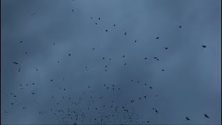 Daniel Spaleniak - Burning Sea (feat.Tomasz Mreńca)