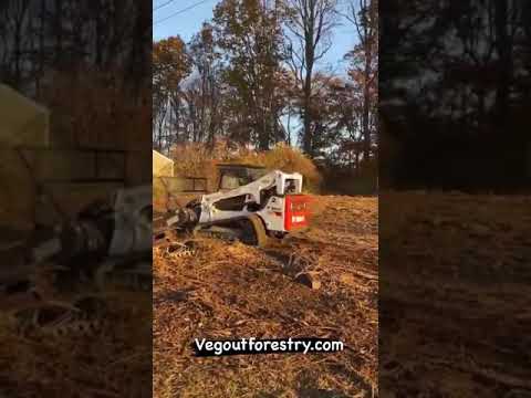 WhatsApp Video 2020 11 14 at 9 02 24 AM