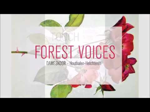 Forest Voices - The Blower's Daughter / Damien Rice
