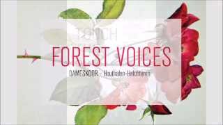 Forest Voices - The Blower's Daughter / Damien Rice
