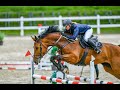 Merrie Tsjechisch sportpaard Te koop 2017 Donker bruin / bai ,  Lord Weingard