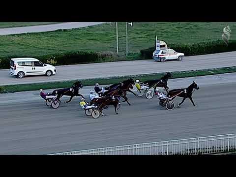 Aversa trotto 30 Gennaio 2021 - 7° Corsa