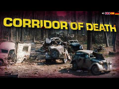 The Last Battle of the German 9th Army (No AI WW2 Documentary)