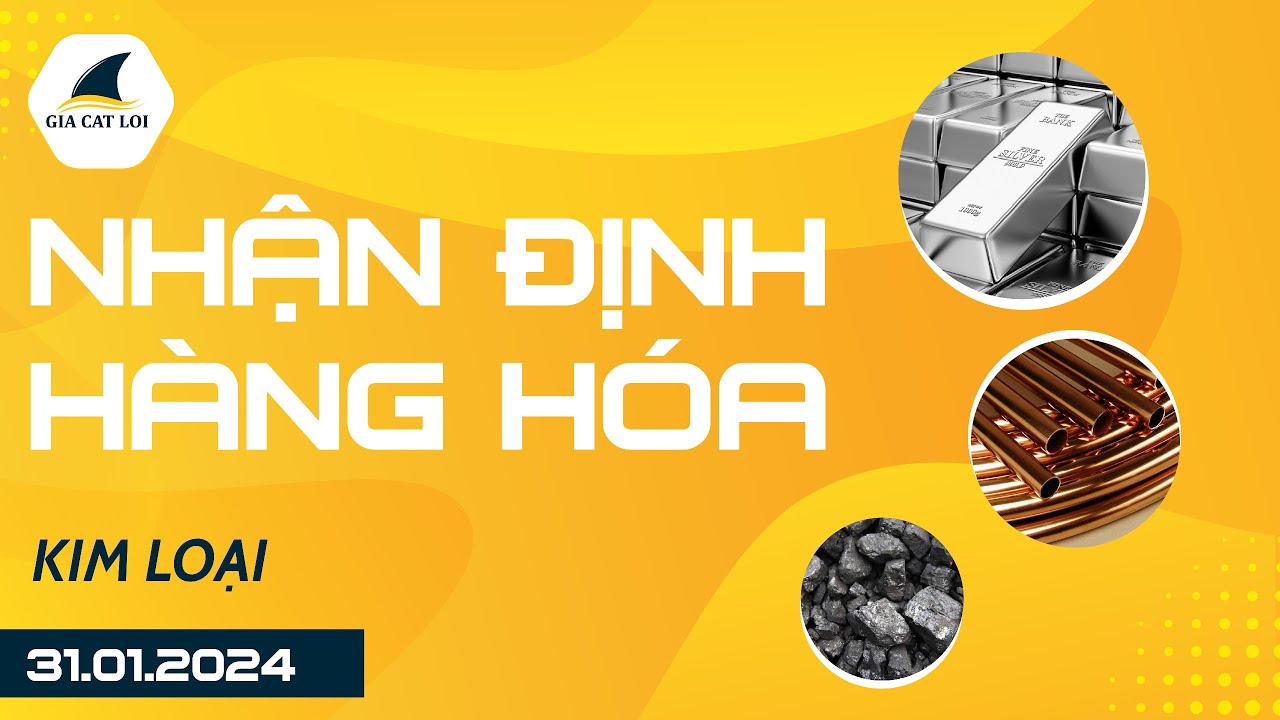 Nhận Định Hàng Hoá Kim Loại Ngày 31/01/2024