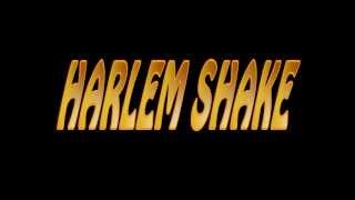 preview picture of video 'DANCE SCHOOL Harlem Shake Insegnanti'