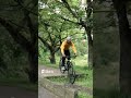 CRADIAC HUSTLER 21 SPEED  | Top Gear Cycles | Best MTBs in India