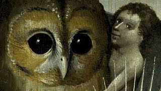 The Hidden Symbolism of Owls