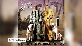9. Tú No Sabes | Alexis &amp; Fido - The Pitbulls