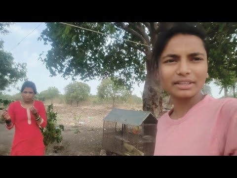 इतक वार कावार सुटलय ना बघा किती नुकसान झालं 😒