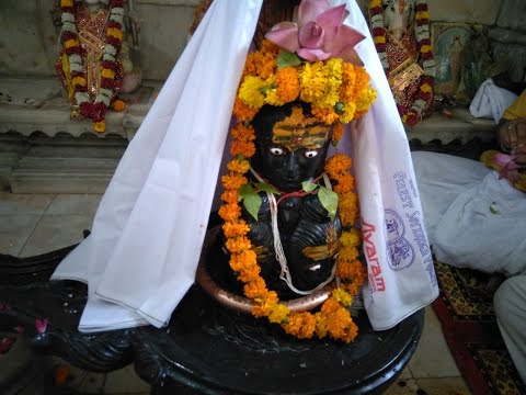 Rudra Abhishek Puja of Lord Shiva