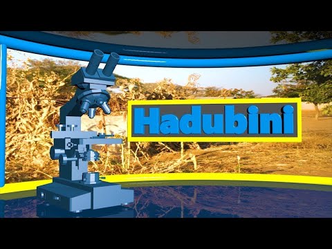🔴#TBCLIVE: HADUBINI FEBRUARI 18,2023 | SAA 02:00 - 03:00 USIKU
