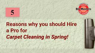 Reasons Why You Should Hire a Pro for Carpet Cleaning in Spring