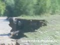 Разлив реки Псезуапсе в п.Лазаревское (Марьино) 13.08.2012 