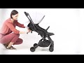 Stroller Twin
