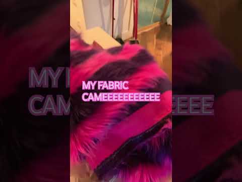 AHHHHHH ITS HEREEEEEE #cheshirecat #fabric #aliceinwonderland