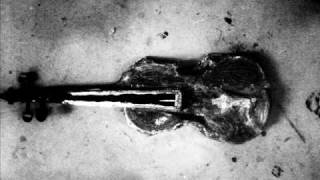 Vitamin String Quartet - Animal I Have Become