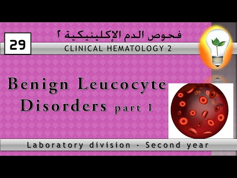 clinical hematology anemia policythemia تقنيات تحاليل الدم الأنيميا