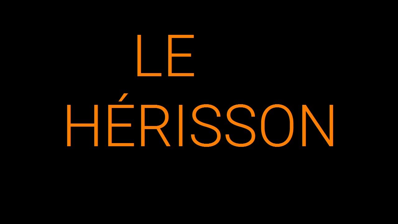 Bérengère & Clément Losco | chanson « le hérisson »