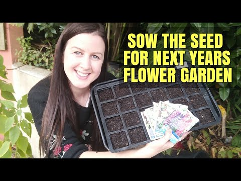 image-Can you plant seeds in the fall? 