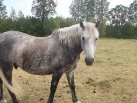 Nedjam Jazz Boy // Part 2