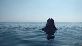 Layla Ley - Fly Away Hoe