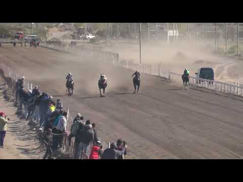 CALLEJERO FINO  Club Hipico Añelo - Añelo -  03/09/2023