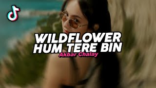 Download lagu DJ WILDFLOWER X HUM TERE BIN VIRAL FYP TIKTOK TERBARU 2025! Akbar Chalay mp3