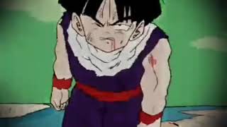 Dbz amv you can take me anywhere (natewantstobattle)