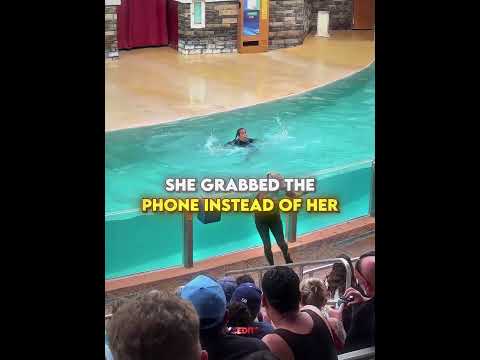 Kind Sea Lion Helped Her ❤️🩹