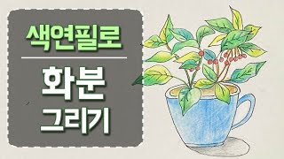 색연필로 화분 그리기 | 미술 수업