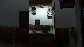 Download lagu koak kaok lombok belajar bunyi mp3