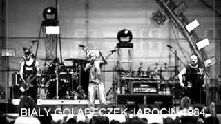 PIERSI  Biały gołąbeczek