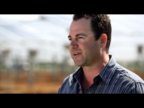 Uesugi Farms Testimonial
