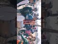 Introducing You To The Talent Of Government School Chittorgarh