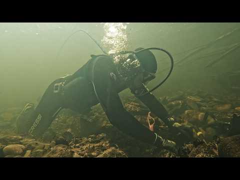 There's a FORTUNE DOWN THERE, now to DIVE DEEP and Dig it UP!!