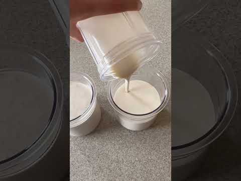 Protein Ice Cream Recipe for Weight Loss