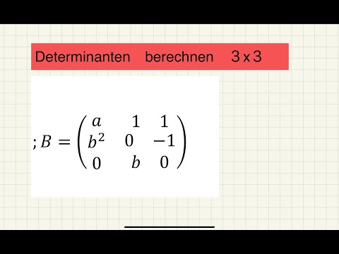 Determinante berechnen mit Variable | Lineare Algebra