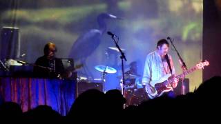 Wicked Gil, Band of Horses (Live)