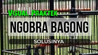Download lagu SOLUSI NGOBRA BAGONG GALAK || KACER TIPE PANAS mp3 Download lagu SOLUSI NGOBRA BAGONG GALAK || KACER TIPE PANAS mp3