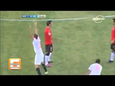 Die besten Schwalben der Welt :)