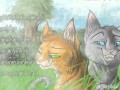 История Белки и Уголька (коты-воители) 