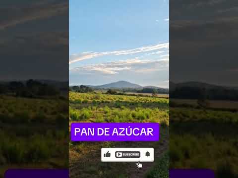 PAN DE AZÚCAR AL ATARDECER #shortvideo #viral  #uruguay  #paisaje