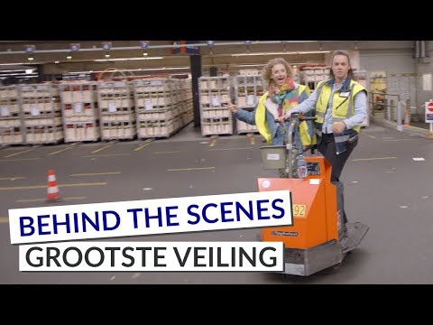 20 miljoen bloemen en planten per dag!? | Behind the scenes grootste bloemenveiling ter wereld